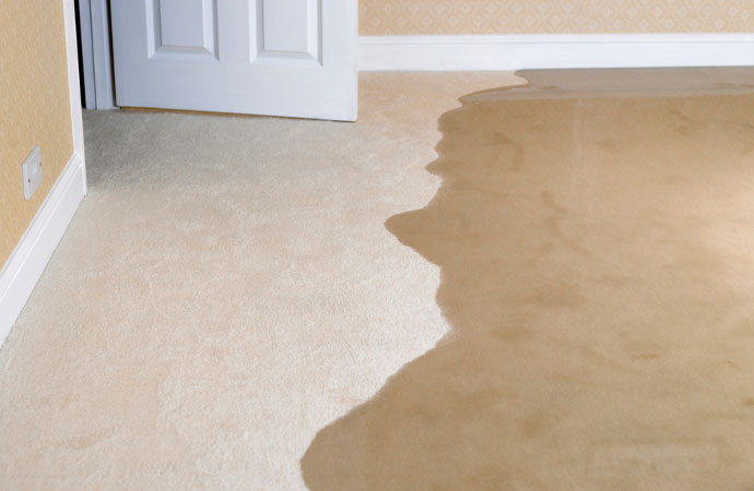 Water Damage Do’s and Don’ts