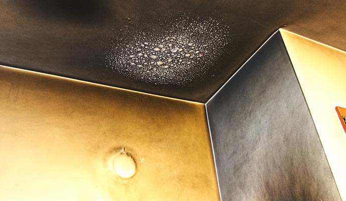 smoke odor removal professionally