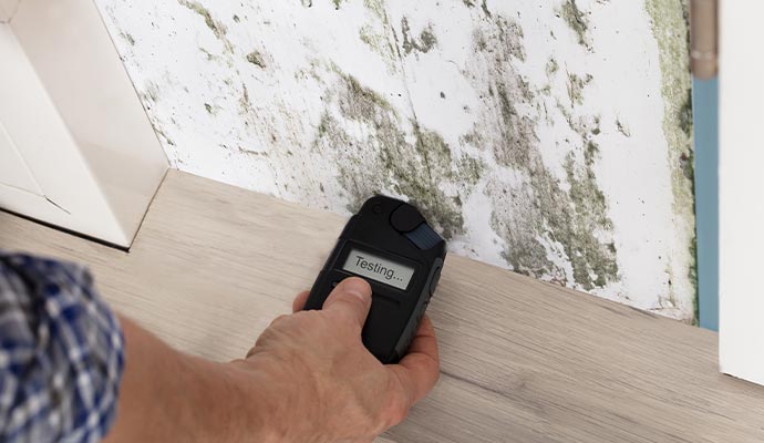 mold testing device