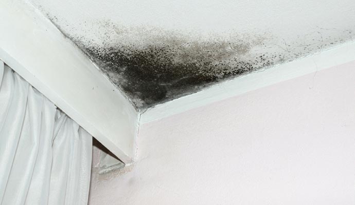 moldy ceiling