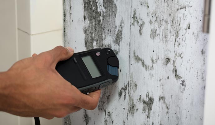 professional testing mold
