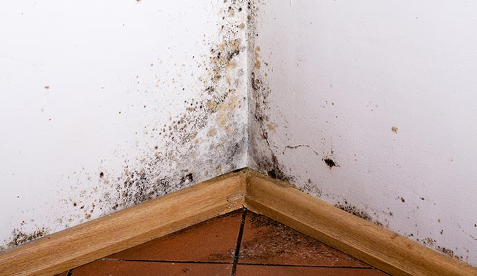 stain on wall