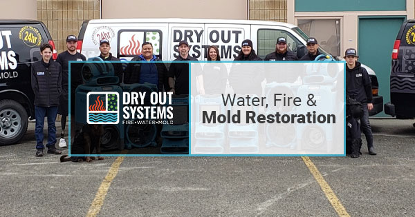 Dry Out Systems | Anchorage photo