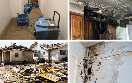 water fire disaster mold services
