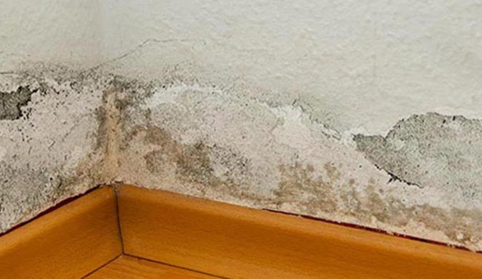 damaged wall