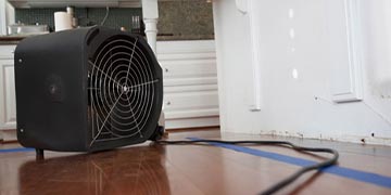 water damage assessment