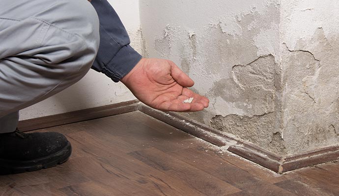 inspecting water damaged area