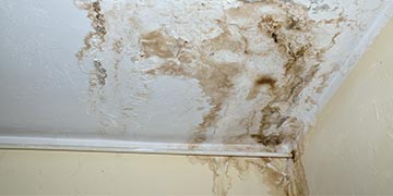 water damage assessment